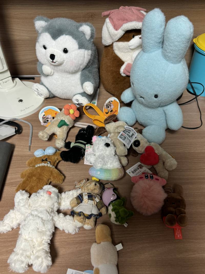 [잡담] 인형 얼마에 팔지...? 인형뽑기 땜에 인형이 넘 많아.. | 인스티즈
