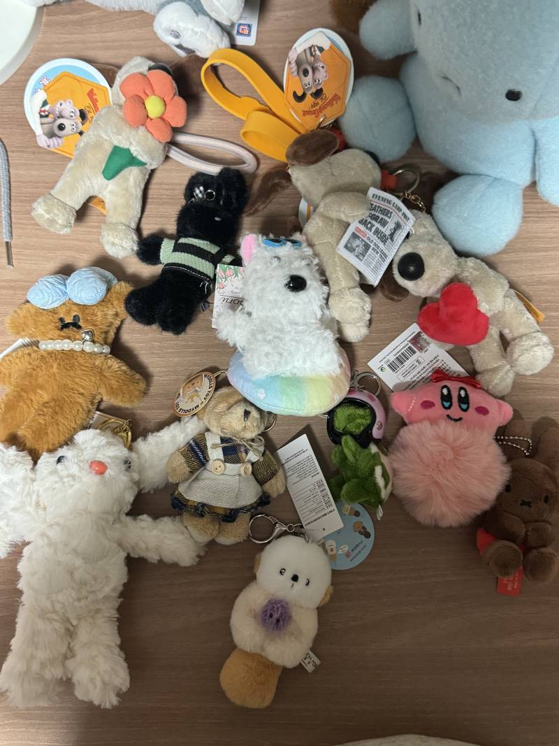 [잡담] 인형 얼마에 팔지...? 인형뽑기 땜에 인형이 넘 많아.. | 인스티즈