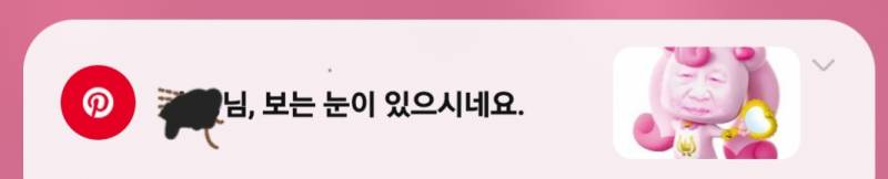 [잡담] 핀터레스트 알림 어떻게 차단해?; 계속 이상한거 추천해주는데 | 인스티즈
