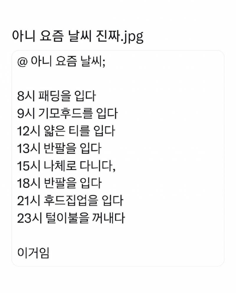 [잡담] 일교차 이거 ㄹㅇ임 | 인스티즈