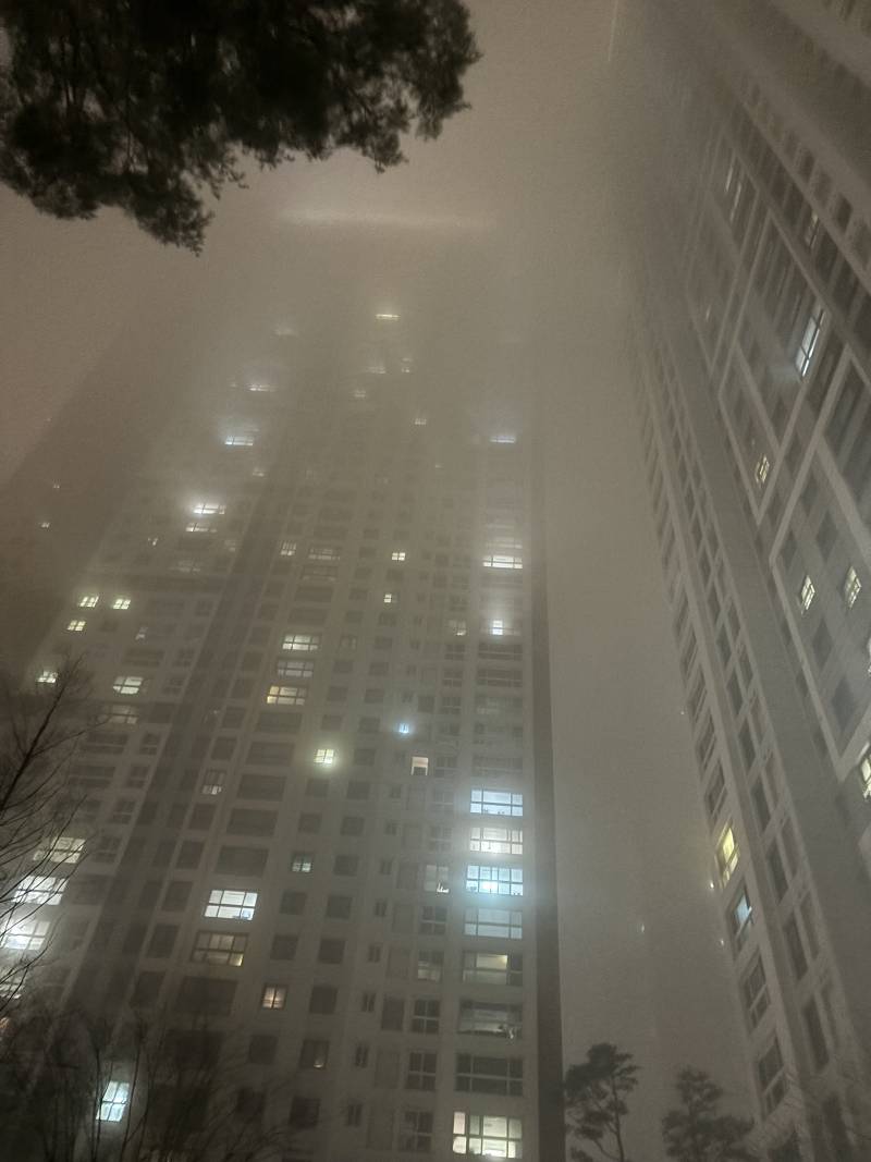 [잡담] 와 안개 ㄹㅈㄷ | 인스티즈