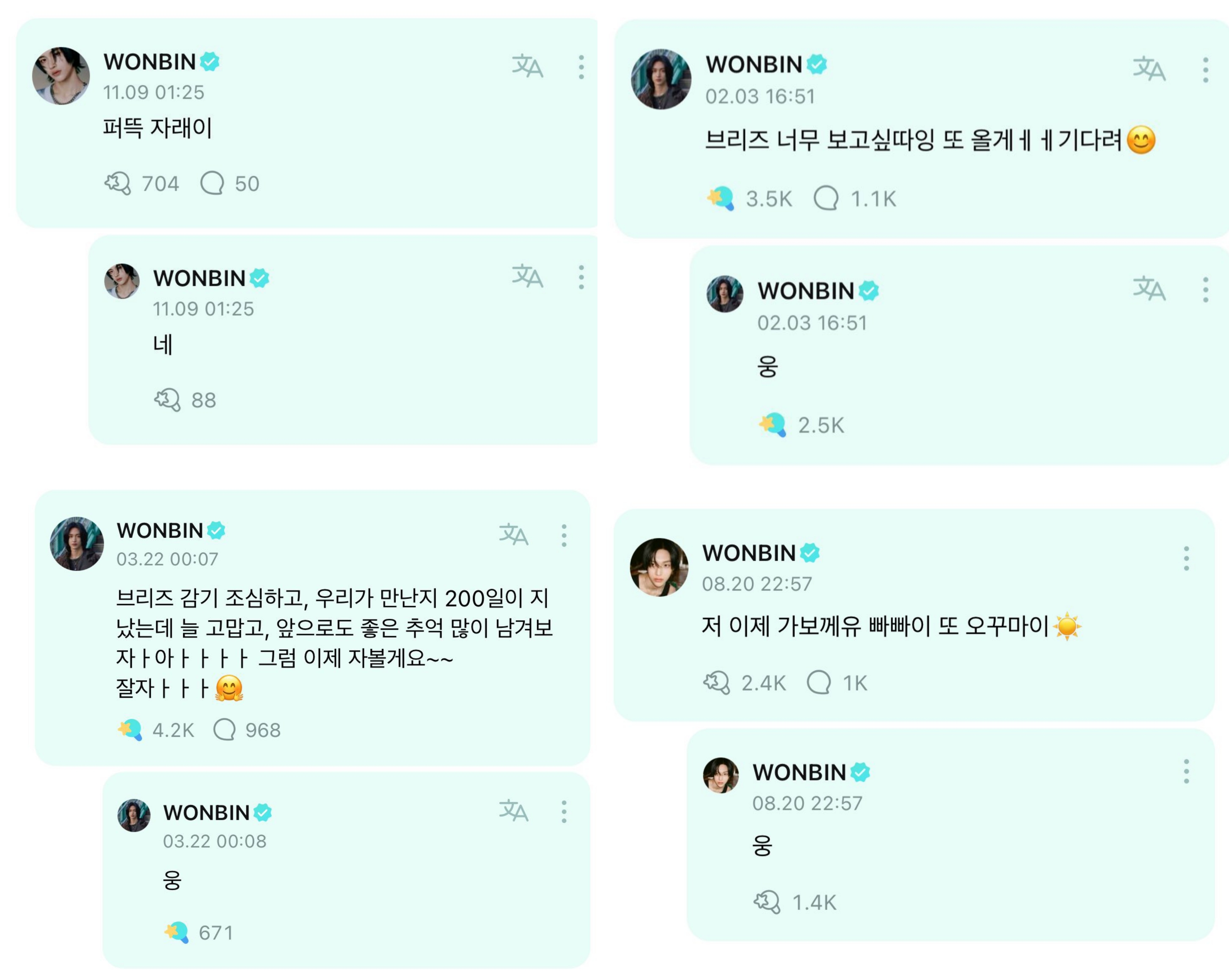 [잡담] 원빈이 자문자답 시리즈 너무 귀엽당 | 인스티즈