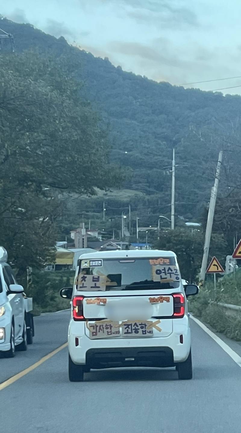 [잡담] 내가봤던 ㄹㅈㄷ 초보운전 | 인스티즈
