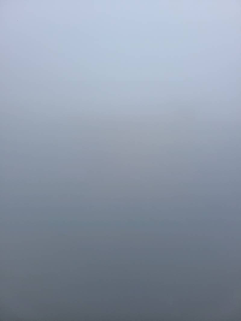 [잡담] 어제 아침 진짜 사일런트힐이었네...ㄷㄷ | 인스티즈