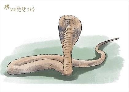 코브라 효과(cobra effect)의 진짜 뒷 이야기 | 인스티즈