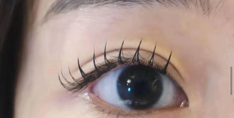 [잡담] 속눈썹연장 할건데 이거 어때?? | 인스티즈