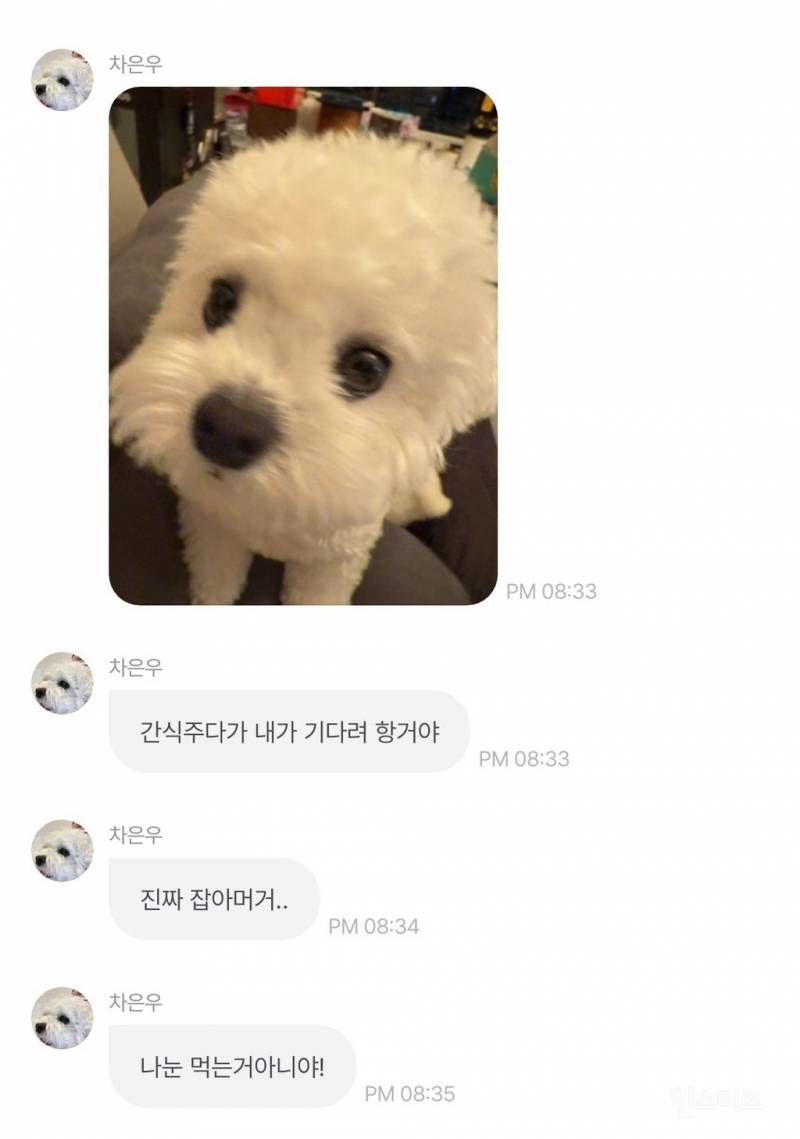 예상치도 못했다는 차은우 실제 말투 .jpg | 인스티즈
