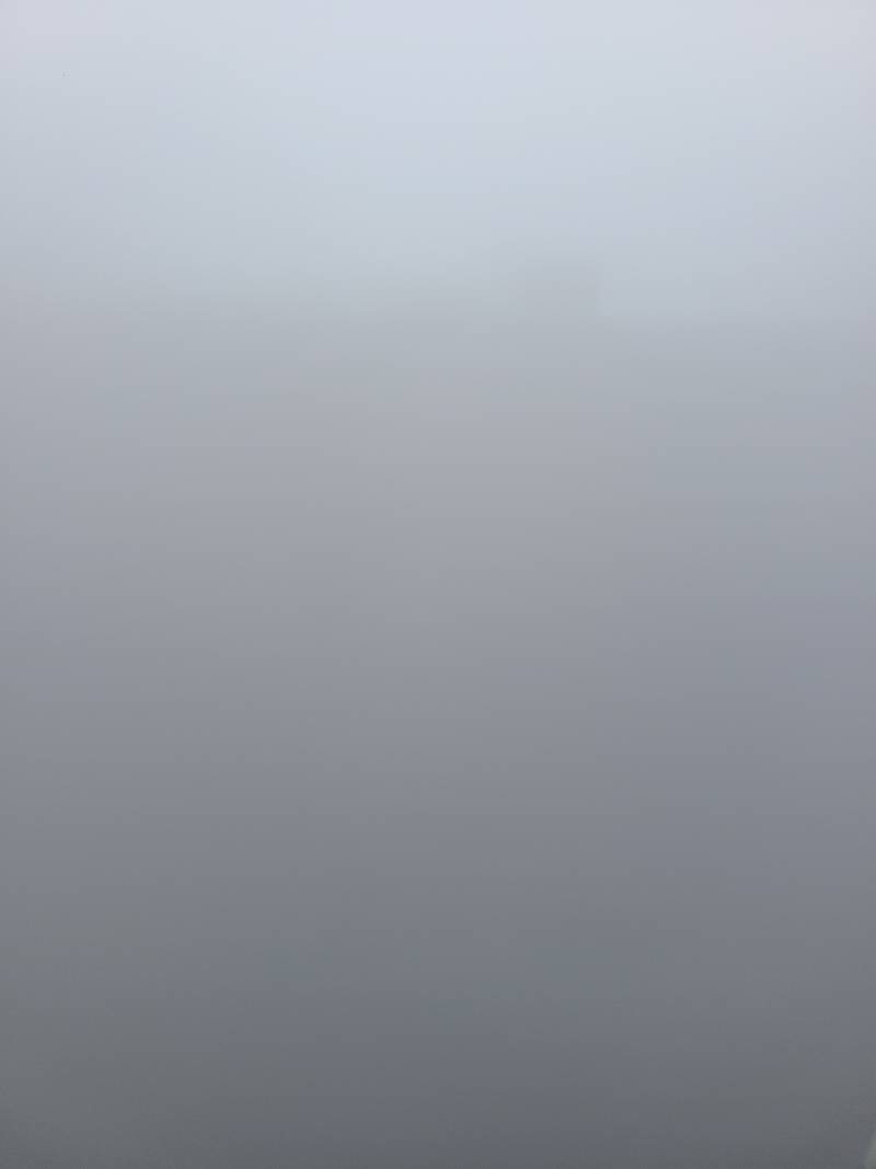 [잡담] 어제 아침 진짜 사일런트힐이었네...ㄷㄷ | 인스티즈