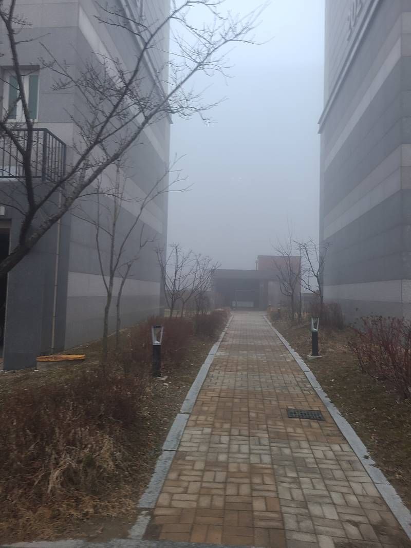 [잡담] 어제 아침 진짜 사일런트힐이었네...ㄷㄷ | 인스티즈