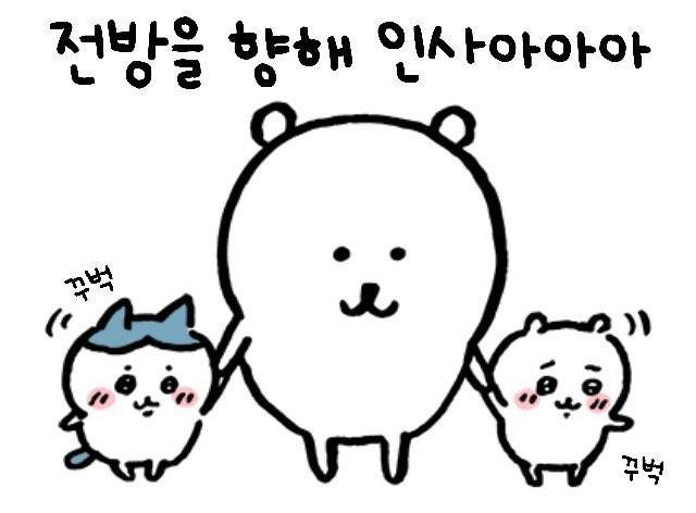 도리임미당🐻 | 인스티즈