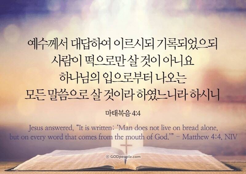 [잡담] 또 아는 것은 우리는 하나님께 속하고 온 세상은 악한 자 안에 처한 것이며 | 인스티즈
