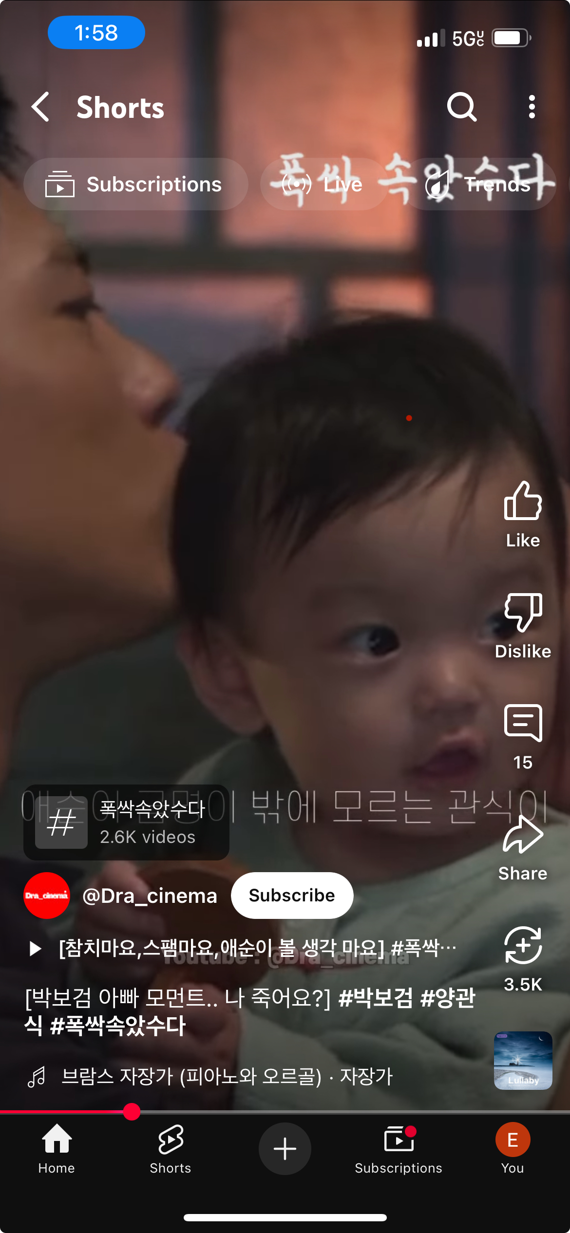 [잡담] 아기 금명이 너무 귀여운거 아니야 | 인스티즈