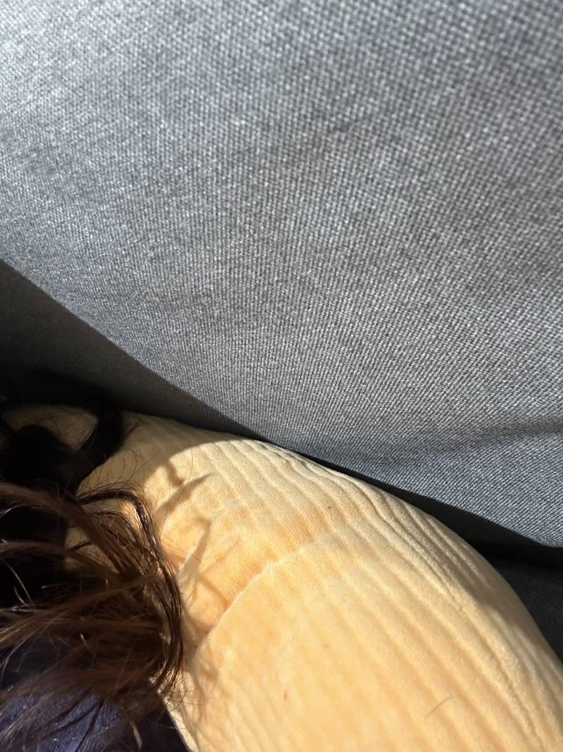 [잡담] 공시 보고 누워서 휴대폰 보는것도 재미없다 …….. | 인스티즈