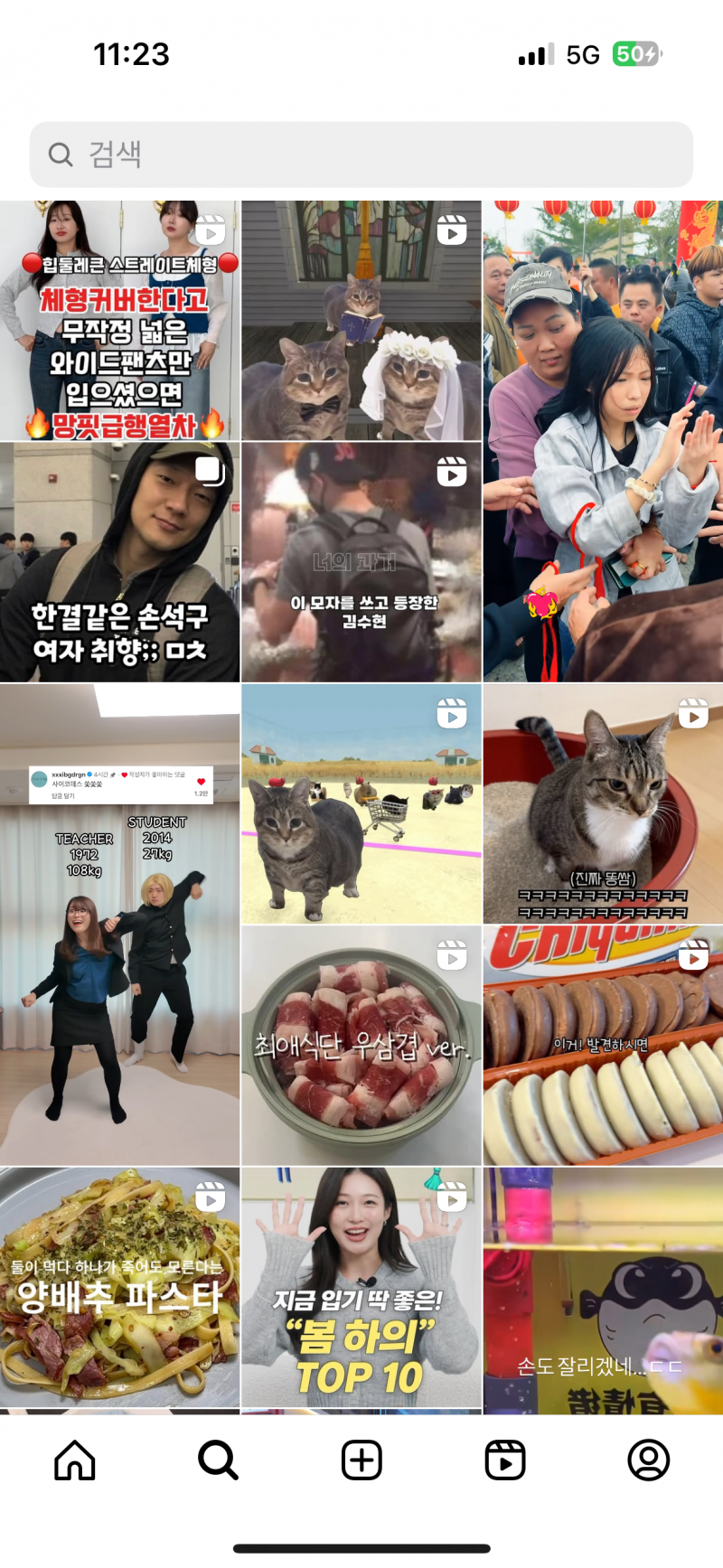 [잡담] 요새 이고양이 밈이야?ㅋㅋㅋㅋ인스타 피드 추천에 | 인스티즈