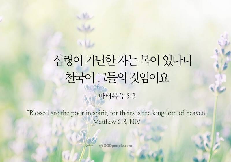 [잡담] 또 아는 것은 우리는 하나님께 속하고 온 세상은 악한 자 안에 처한 것이며 | 인스티즈