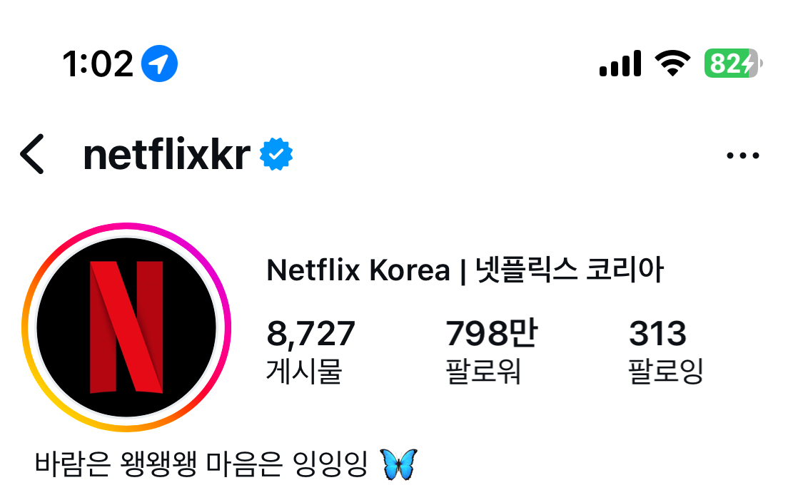 [잡담] 넷플 인스타 소개글 왱왱왱 잉잉잉이네ㅋㅋㅋㅋ | 인스티즈