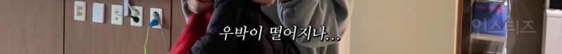애견인들은 모두 공감할 것 같은 산책 전 모습 .jpg | 인스티즈