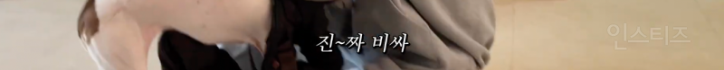애견인들은 모두 공감할 것 같은 산책 전 모습 .jpg | 인스티즈