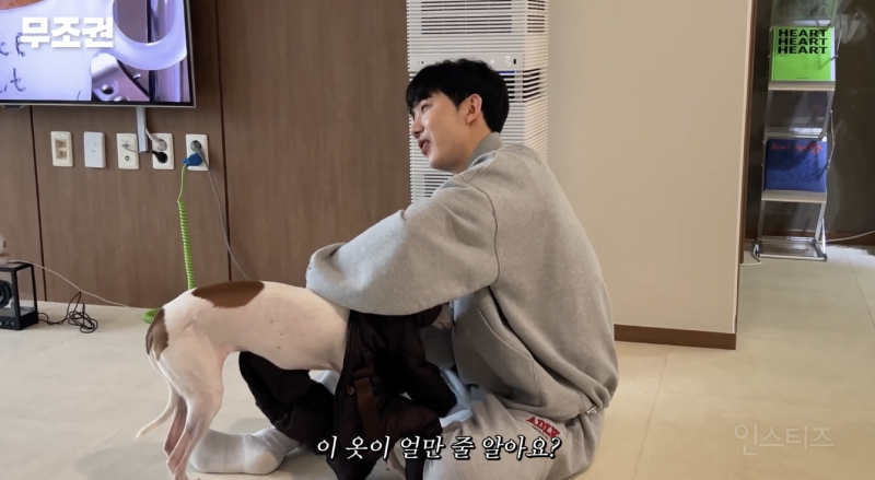 애견인들은 모두 공감할 것 같은 산책 전 모습 .jpg | 인스티즈