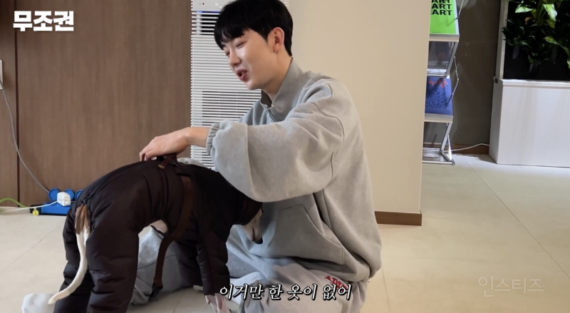 애견인들은 모두 공감할 것 같은 산책 전 모습 .jpg | 인스티즈