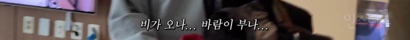 애견인들은 모두 공감할 것 같은 산책 전 모습 .jpg | 인스티즈