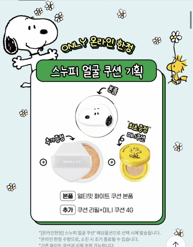 [잡담] 이거 쿠션 무슨 디자인으로 살까?! | 인스티즈
