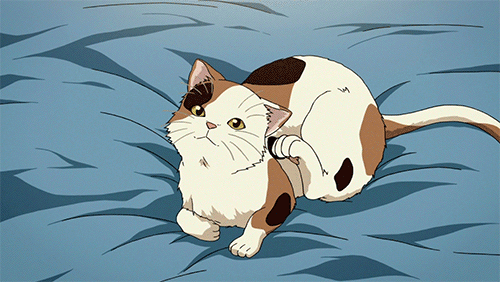 [잡담] 고양이 애니 잘 아는사람?? | 인스티즈