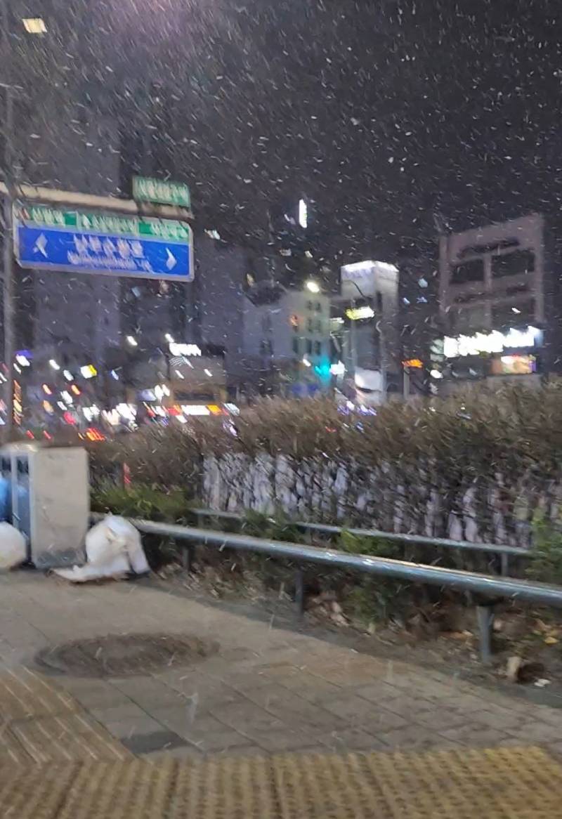 [잡담] 관악 눈 개마니 옴!! | 인스티즈
