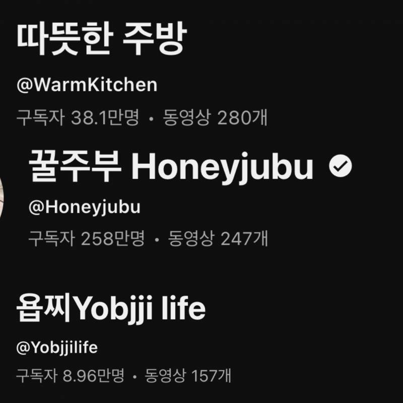 [잡담] 아 몰라 내가 보는 살림 요리 유튜버들이나 보고가 | 인스티즈