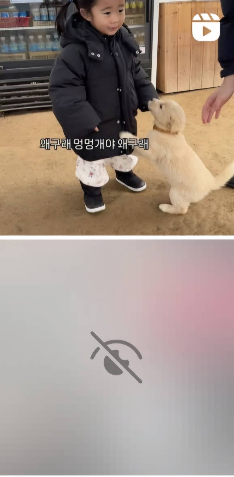 [잡담] 익들아 인스타 이거 어떻게 삭제해? 아니면 어떻게 봐?? | 인스티즈