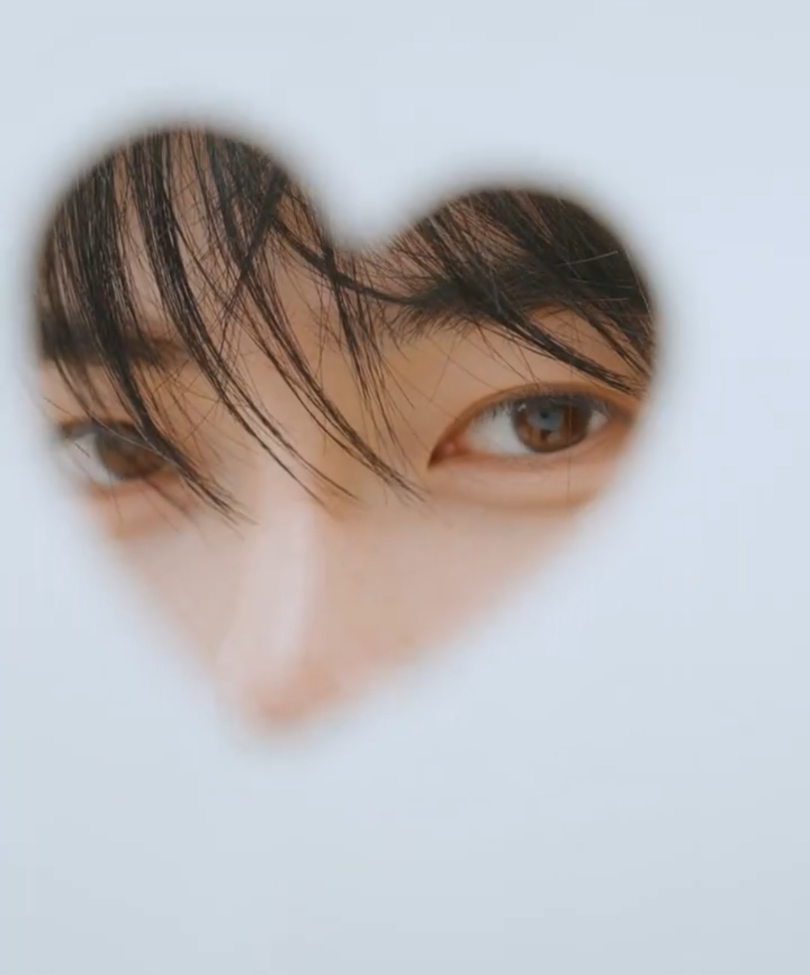 [잡담] 성한빈 하이컷 하트 고양이야 ㄹㅇ | 인스티즈