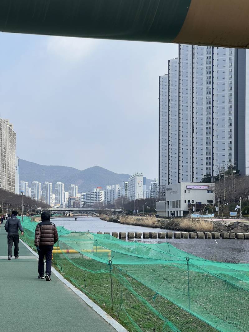 [잡담] 부산 눈오는 거 보여줄까예 (사진있을유) | 인스티즈