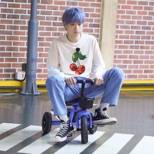 [잡담] 내 최애 진짜 시나모롤 닮음ㅋㅋㅋ 짤모음집도 있어 | 인스티즈