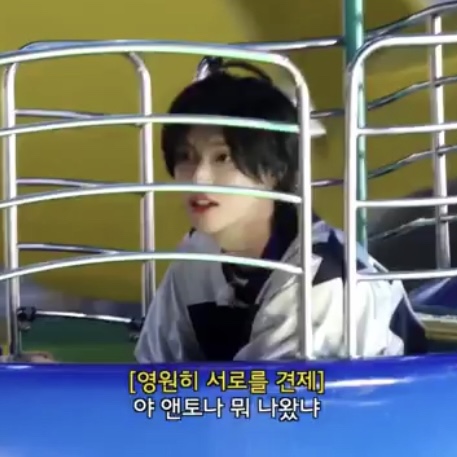[잡담] 원빈이 ㄹㅇ 고양인데 | 인스티즈