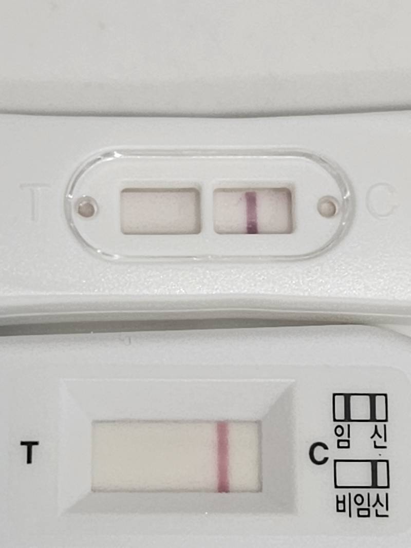 [잡담] 임테기 봐줄수있을까? | 인스티즈