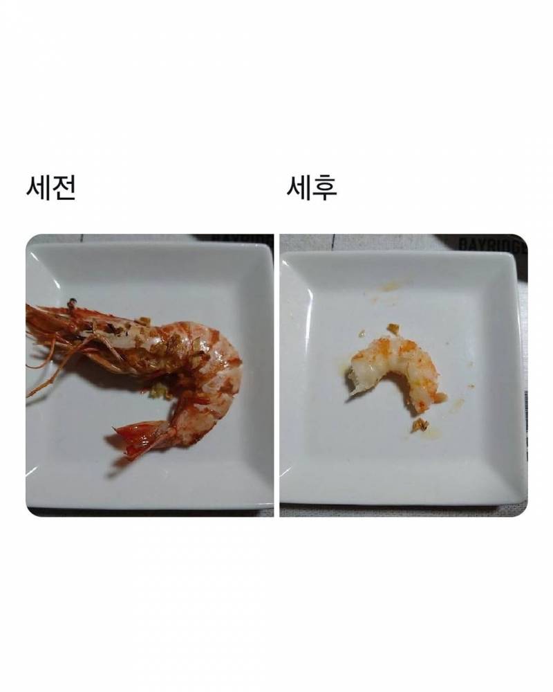 [잡담] 세전 세후 | 인스티즈