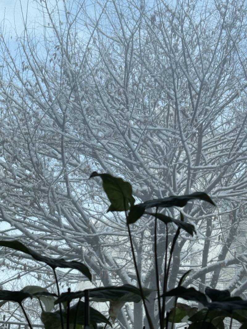 [잡담] 뭐여 자고 일어나니까 겨울왕국이잖아 | 인스티즈