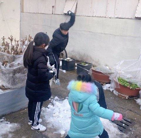 [잡담] 심심한데 눈싸움 중계라도 해주세요 | 인스티즈