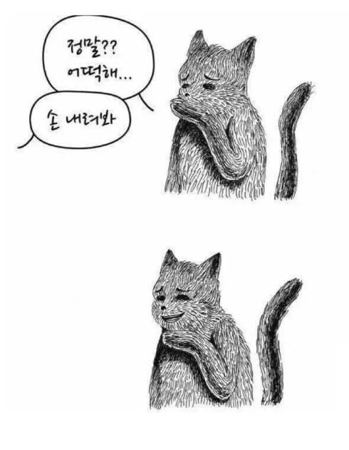 [잡담] 금요일까지 집에 나 혼자야,, | 인스티즈
