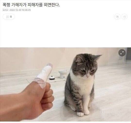 가해자가 피해자를 외면한다 | 인스티즈