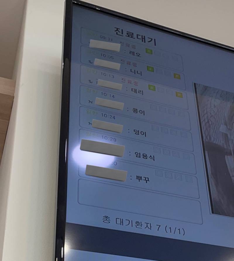 [잡담] 동물병원 대기화면인가? 개 웃김 | 인스티즈