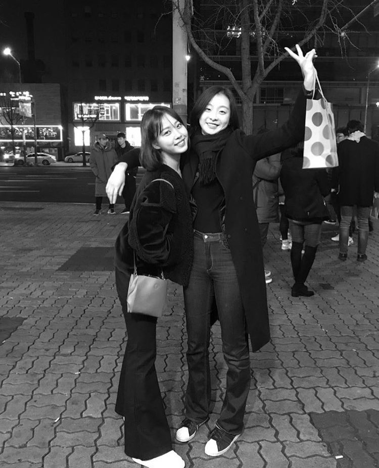 [잡담] 이 둘은 강아지-강아지야 고양이-강아지야? | 인스티즈