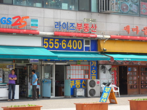 [잡담] 라이즈 부동산 | 인스티즈
