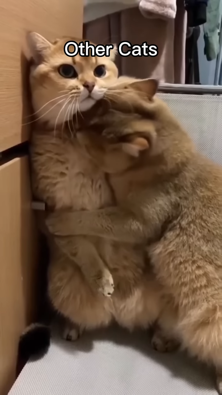[잡담] 짝남한테 이렇게 안기고싶어 | 인스티즈