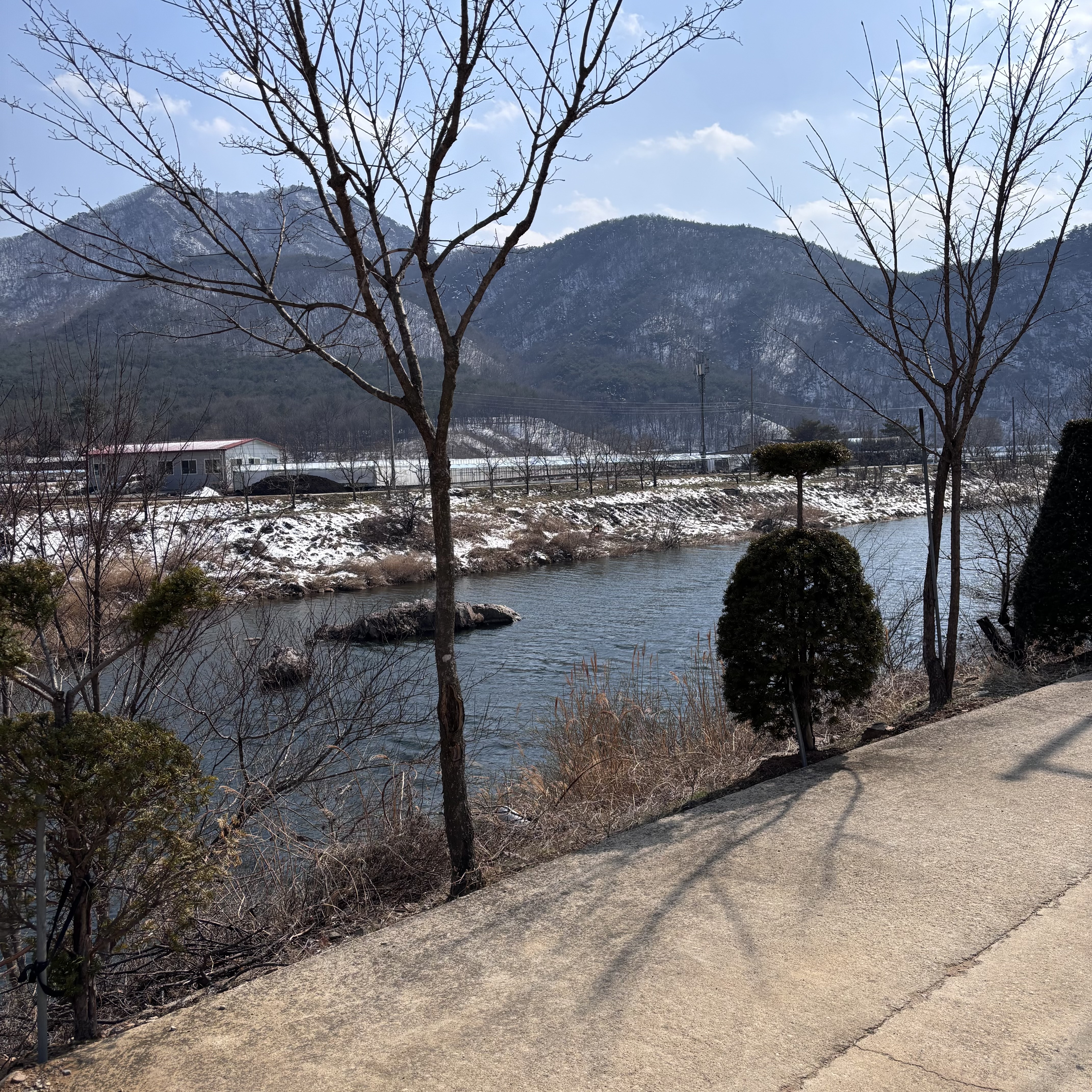 [잡담] 점심쯤에 산책하다가 뭔가 풍경이 예뻐서 찍어봄.. | 인스티즈