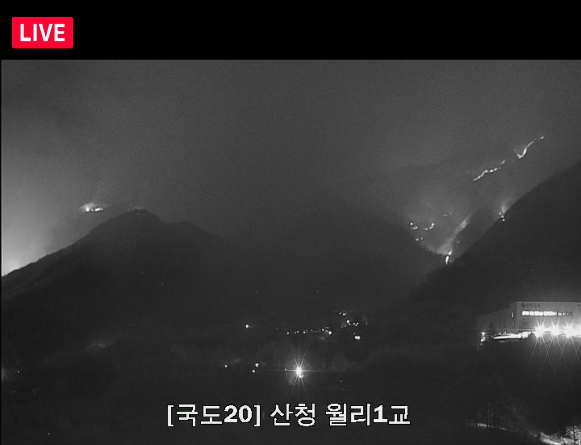 [잡담] 와 지리산 산불 실시간임.. | 인스티즈