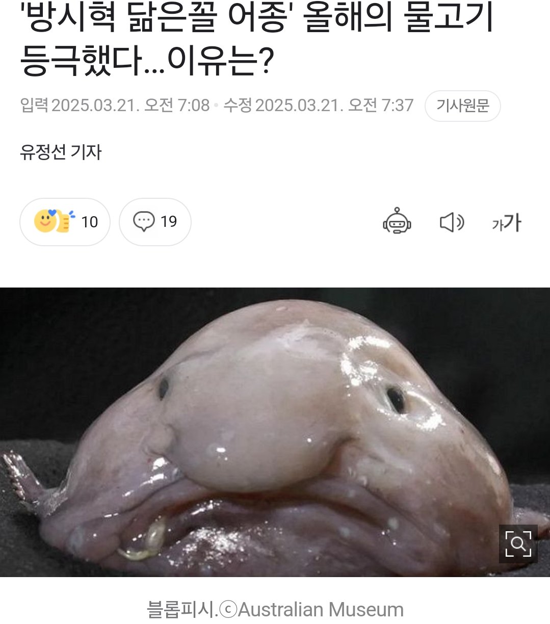 [잡담] 올해의 물고기 방시혁이래 | 인스티즈