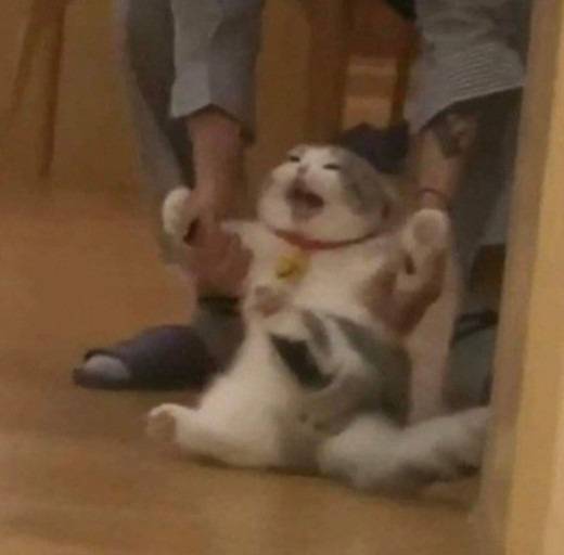 두베 | 인스티즈