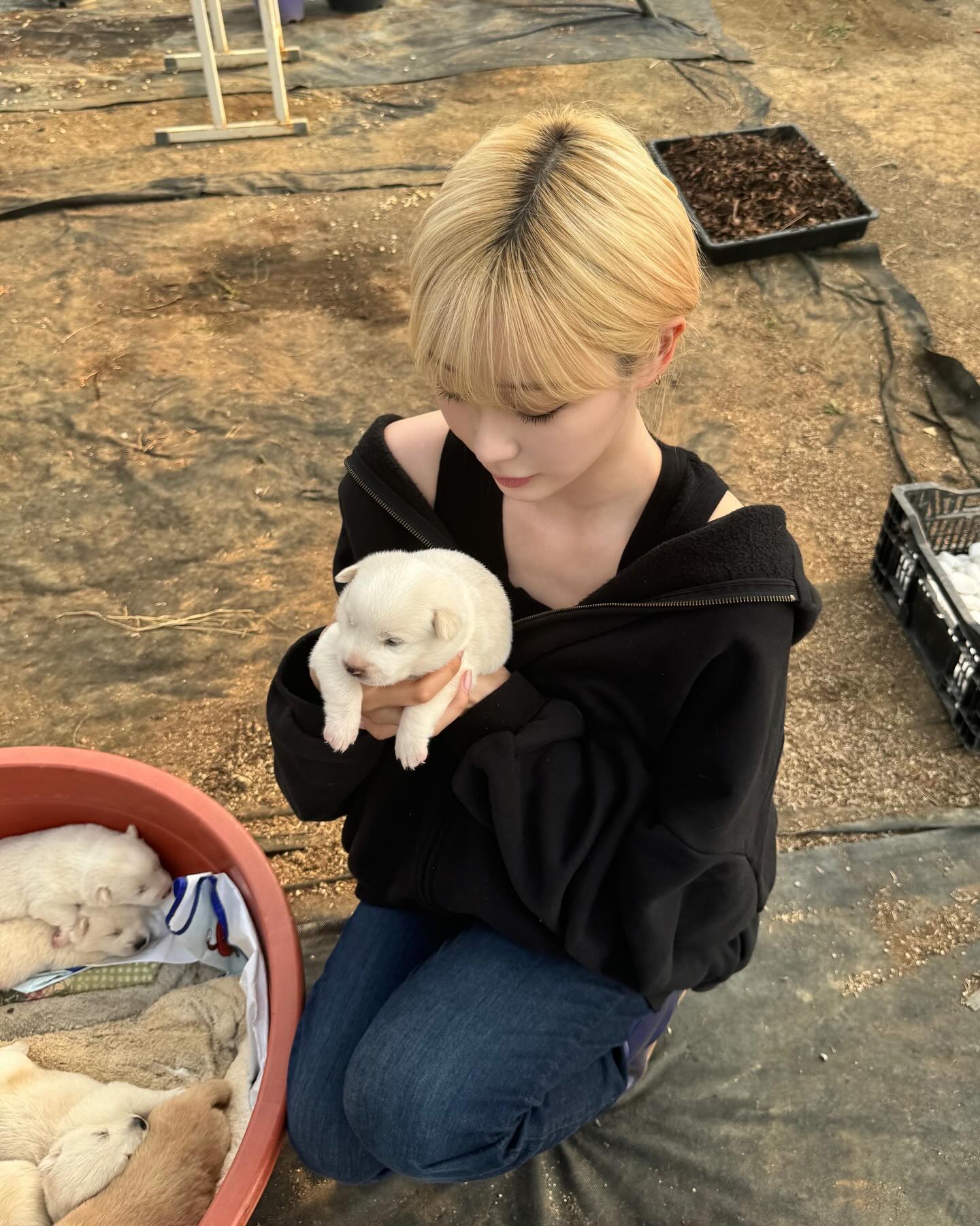 [잡담] 나 요즘 지젤이 너무 좋아... | 인스티즈