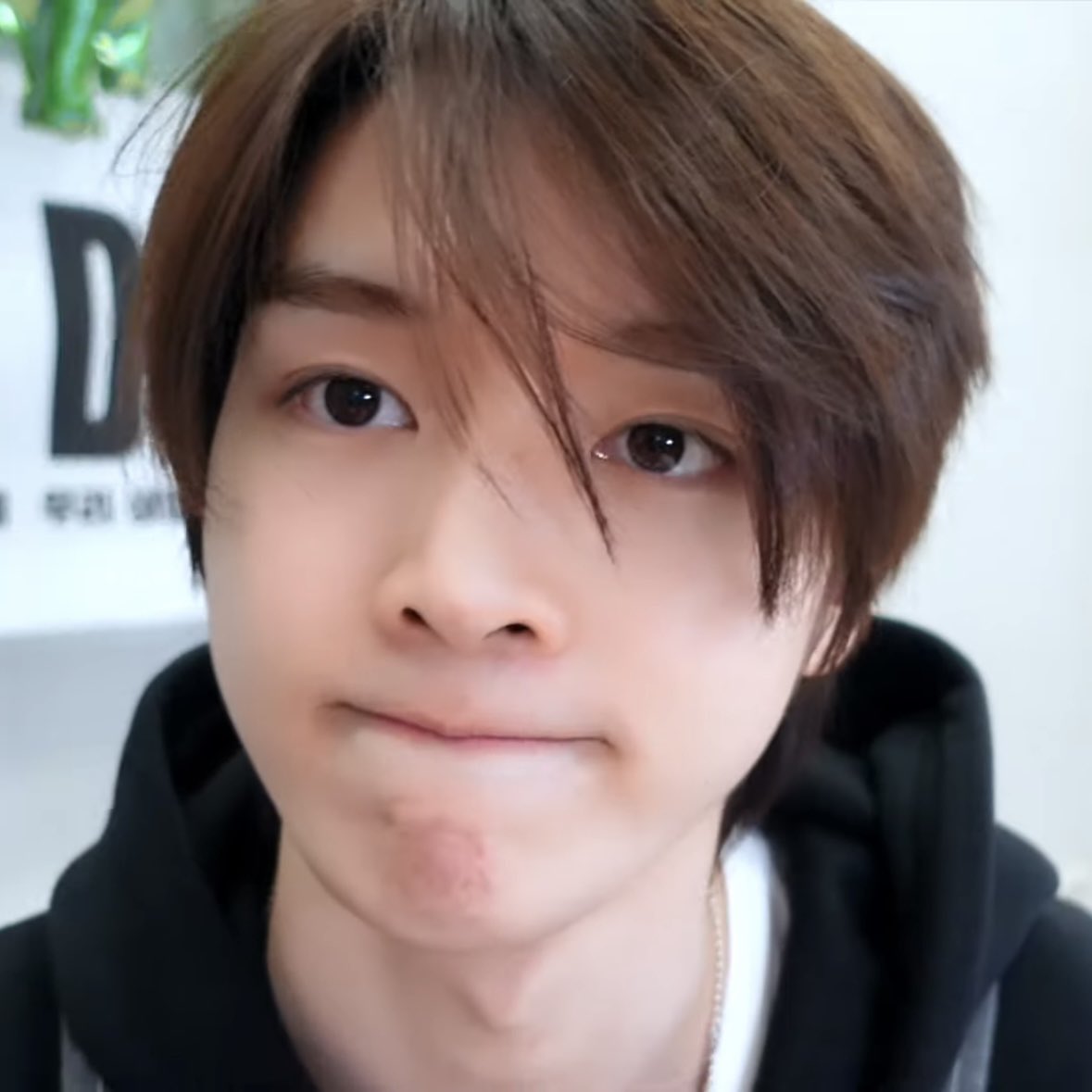 [잡담] 성찬....너 갱얼지야...????? | 인스티즈